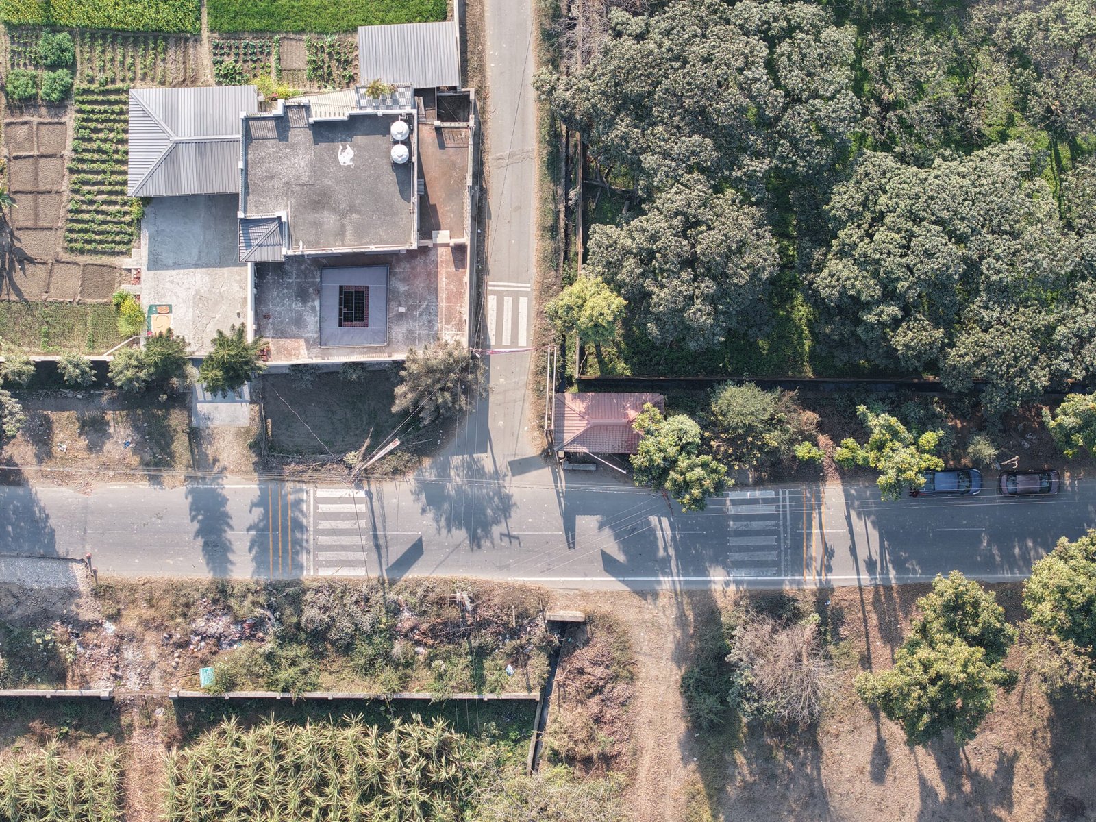 Jogiwala Prime Location Real Estate